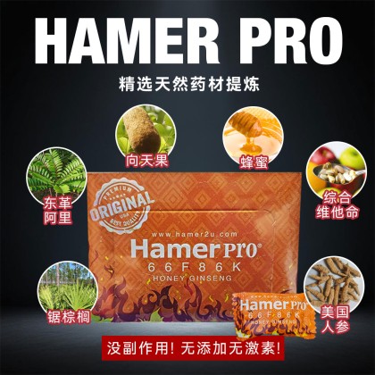 2025悍马升级进化版【HAMER pro】33粒装